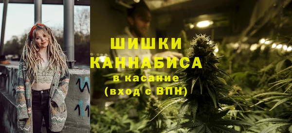 apvp Гусиноозёрск