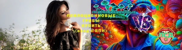 амфетамин Алексин